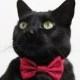Cat Bow Tie - Satin - More Colors