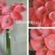 NEW!! 9pcs Natural Real Touch Coral Calla Lily Stem or Bundle for Wedding Bridal Bouquets, Centerpieces, Decorations