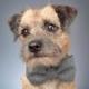 Dog Bow Tie - Black & Grey Herringbone Tweed