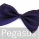 Purple Ring Bearer Bowtie (1 piece) Polyester Satin children bowtie for boys or pet dog and cats with adjustable collar (Comes in 4 colors)