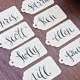 Hand-Written Calligraphy Customized First Name Modern Design Wedding Favor Gift Tags Pick Your Colors