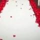 Ivory  Custom Made Aisle Runner 36 inches wide (Rose Petals are not included)