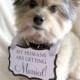 My Humans Are Getting Married! - Wedding / Engagement Sign for Your Dog - Available in 2 sizes and Custom Colors