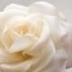 Ivory rose hair clip, Bridal hair flower, Wedding hair accessory,  Rose hair flower, Bridal hair clip
