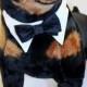 Wedding Dog Collar with Shirt Collar and Satin Double Bow Tie Dog Collar pet clothes