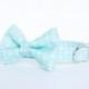 Bow Tie Dog Collar - Pale Turquoise Anchors Aweigh