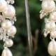 Pearl Earrings- Wedding Jewelry, Bridal Earrings, Swarovski , Lamor Swarovski crystal and pearl bridal  earrings