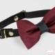 Cat Bow Tie Collar - Burgundy