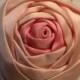 SURPRISE 25% Off SALE - Sweet Vintage Ribbonwork Applique Rose Trim #1