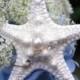 Starfish Stems with Pearls - 12 Stems for a Wedding Bouquet Bridal Bouquet or Centerpiece