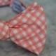 Men's Bow Tie in Pink Coral Gingham- Self tying - freestyle - Groomsmen gift and ring bearer outfit