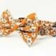 Orange flowers - cat and dog bow tie collar set