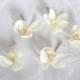 Orchid hair fascinators mini real touch phalaenopsis orchid hair clips bridal hair clip tropical fascinator