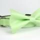 Wedding dog collar- Light Green Dog Collars with bow tie set  (Mini,X-Small,Small,Medium ,Large or X-Large Size)- Adjustable