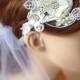 Wedding Hair Accessories,birdcage veil, wedding  light ivory hair Lace Bridal Headband , Champagne hair accessories,  bridal  floral vine