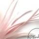 Goose Biot & Hackle Feather Hat Mount Trim for Fascinators, Wedding Bouquets and Hat Making- Rose Pink