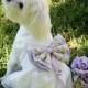 Lilac Wedding Dog dress, Dog ring bearer, Lilac pet Wedding accessory, Dog Clothing, Pet lovers, Proposal idea, Dog Lovers