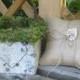 Rustic Personalized Birch Flower Girl Basket and Beige  Burlap Ring  Bearer Pillow - Wedding -Woodland  Beach