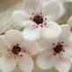 White Cherry Blossom Hair Pins Set - White Sakura Hair Pins, White Bridal Hair Accessories, White Japanese Flowers, Wedding Hair Flowers