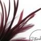 Goose Biot & Hackle Feather Hat Mount Trim for Fascinators, Wedding Bouquets and Hat Making- Burgundy