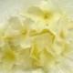 Sweet Pale Yellow Blossoms Bouquet Silk Organdy Bunch of 12 Flowers for Bouquets Wedding Hats Fascinator Corsage