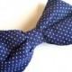 Men's Bow Tie in Navy Blue Pin Dot  - clip on