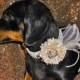 IVORY Satin Pom Flower Veil and White or Black  Dog Collar for Wedding