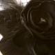 Black Rose Peacock Hair Clip Goth Bridal MADAME NOIR with French Netting Veil