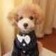 Free Shipping,Teddy Pomeranian Dog Clothes, Prince Pet Dog Shirt, Formal Dress Clothing with Bowknot Autumn Winter, White / Black, S-XL Size
