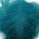 TEAL BLUE Ostrich Feather Drab (3 feathers) Pristine DIY ostrich feathers for wings, fascinators, wedding centerpieces, bouquets,millinery