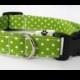 Lime Green Polka Dot - pet collar, dog collar, cat collar