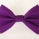 Medium / dark purple - cat bow tie, dog bow tie, pet bow tie