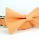 Wedding dog collar-Peach Dog Collars with bow tie set  (Mini,X-Small,Small,Medium ,Large or X-Large Size)- Adjustable