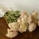Bunch of cream dried peonies, cream peonies, ivory peonies, dried peonies, cream peony,  cream dried flowers