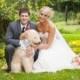 Ivory Best Dog Boy Bowtie Dog Collar Bandana Rustic Burlap Wedding Photo Prop
