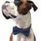 Dog Bow Tie, Navy Polka Dot Bow Tie, Polka Dot Dog Bow Tie