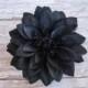 Black Dahlia Hair Flower Clip