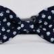 Limited Edition Blue Flower Bow Tie Dog Collar