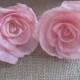 Sola rose flowers  -- SET of 12  -- light pink