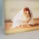 Chick in Bridal Veil Photo Wedding Engagement Card Chickens in Hats