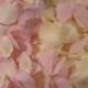 Blush Cream / Rose Bulk Flower Petals, 200 Artifical Petals, Blush Pale Pink and Cream Wedding, Flower Girl Basket Petals, Craft Supplies