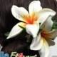 Hawaiian Plumeria Flowers Hair Clip For Hula Dancer, Wedding, Beach Party Hair Accessories, Gift Idea Hand Made Foam Flowers