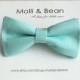 The Bobby  - Baby, Newborn, Toddler, Boys bow tie, Kids bow tie, Wedding bow tie, Ring bearer bow tie, Aqua bow tie, Easter bow tie