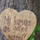 My Humans Are Getting Married Heart Sign for Dog or Pet with Twine or Ribbon Bow -  Personalize it!