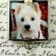 Pet Photo Charm for Bridal Bouquet Charm or Boutonniere Pin