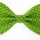 Lime green polka dot bow tie - cat bow tie, dog bow tie, collar attachment