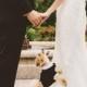 20 Photos Of Pets At Weddings That Are Almost Too Cute For Words