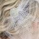 Crystal Hair Pin, Crystal Hairpiece, Wedding Hairpiece, Rhinestone Hairpiece, Birdcage, Birdcage Veil, Veil, Embellished Veil - New
