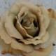 Silk Rose / Beige Silk Rose / Champagne/Beige Silk Rose / Artificial Flowers / Silk Flower / Bouquet Flowers / DIY Flower / Diy Wedding