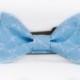 Limited Edition Baby Blue Bow Tie or Belle Bow Dog Collar